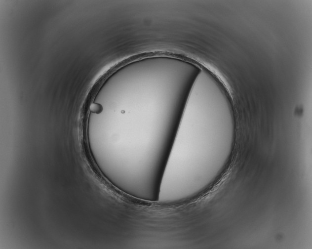 X0000100410983200806060921