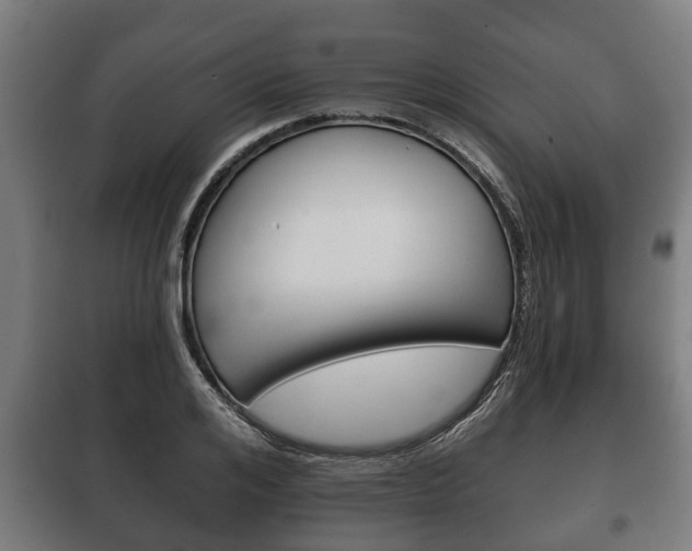 X0000100410984200806060921