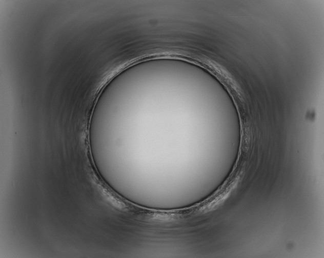 X0000100410985200806060921