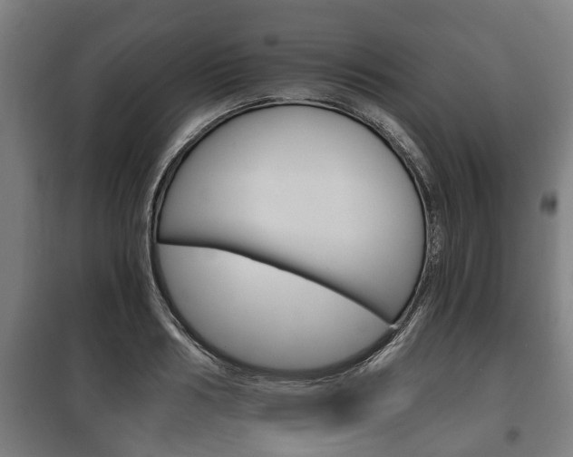 X0000100410986200806060921