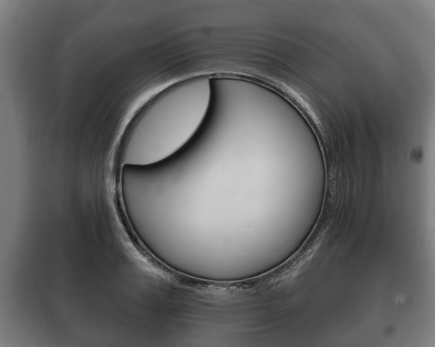 X0000100410987200806060921