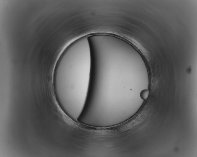 X0000100410988200806060921