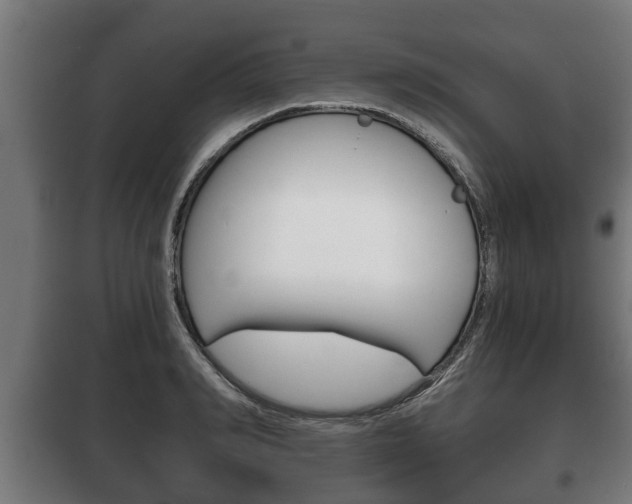 X0000100410990200806060921