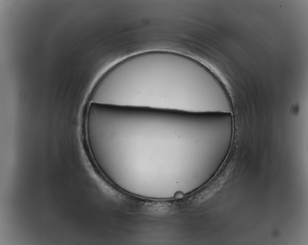 X0000100410991200806060921
