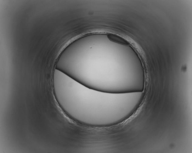 X0000100410993200806060921