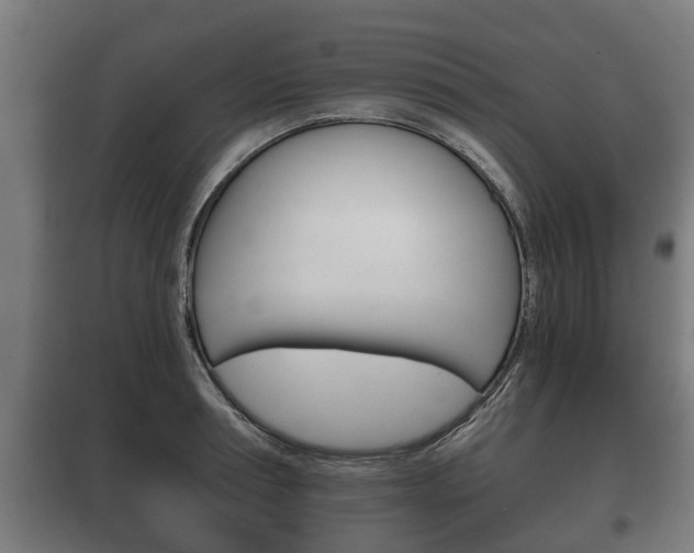X0000100410994200806060921