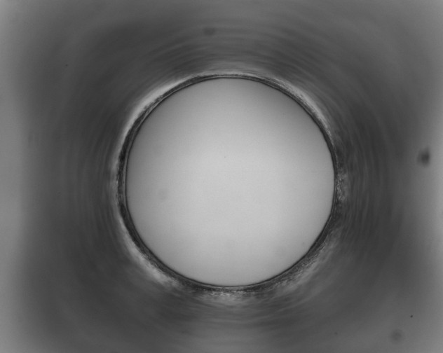 X0000100410995200806060921