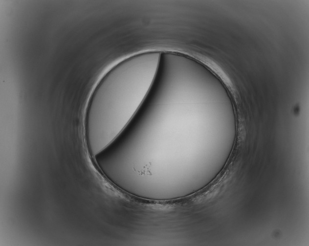 X0000100410996200806060921