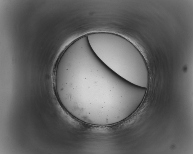 X0000100410998200806060921