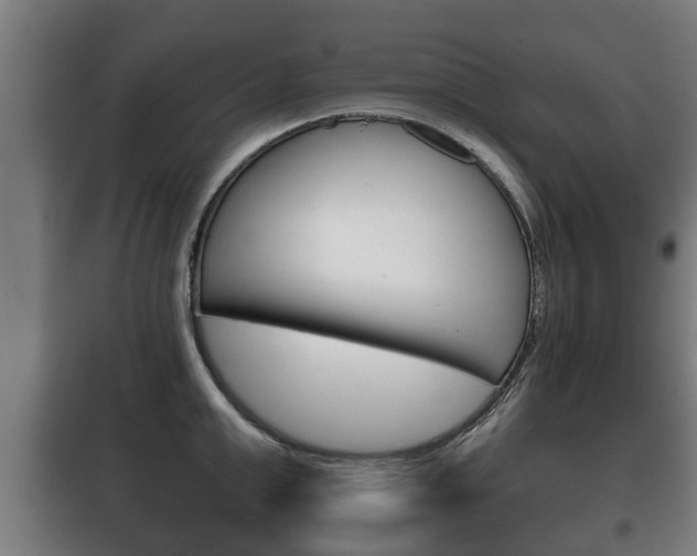 X0000100410999200806060921