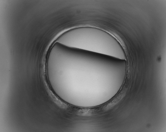 X0000100411000200806060921
