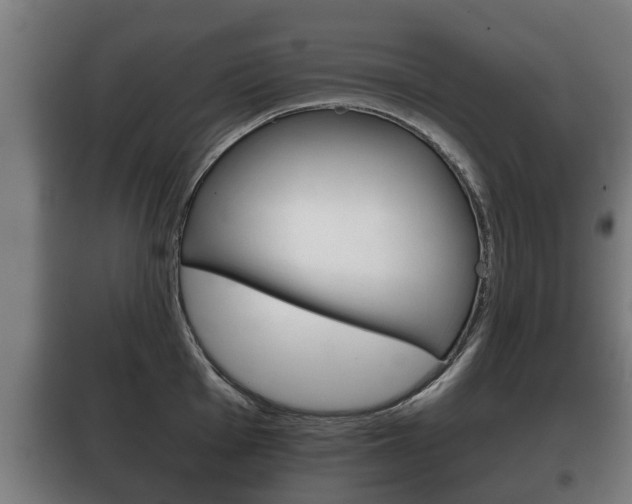 X0000100411001200806060921