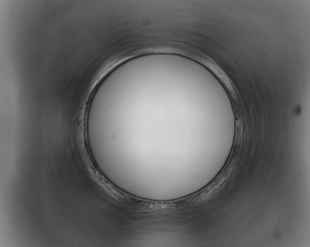 X0000100411002200806060921