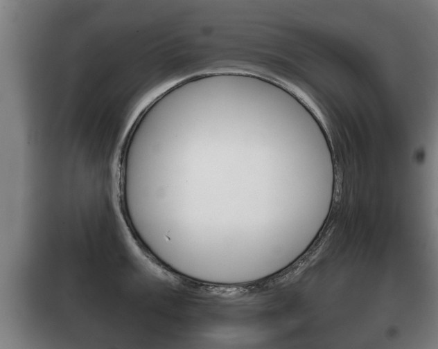 X0000100411003200806060921