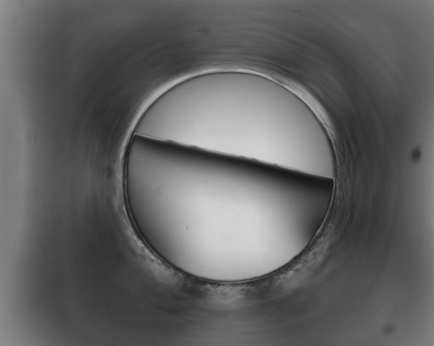 X0000100411004200806060921