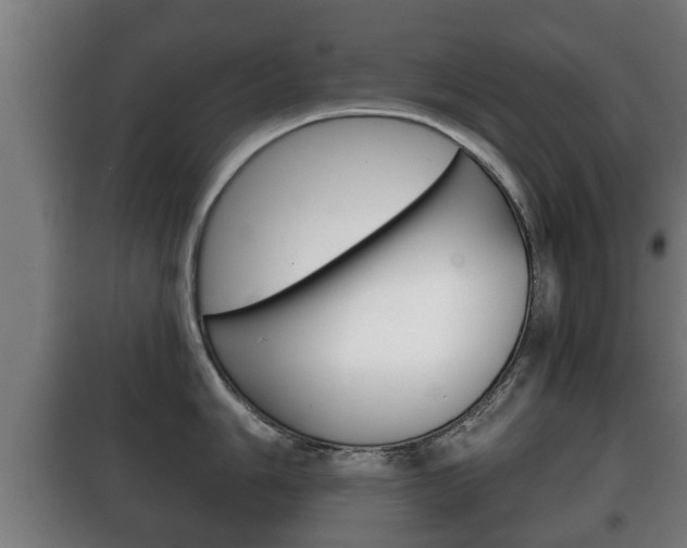 X0000100411006200806060921