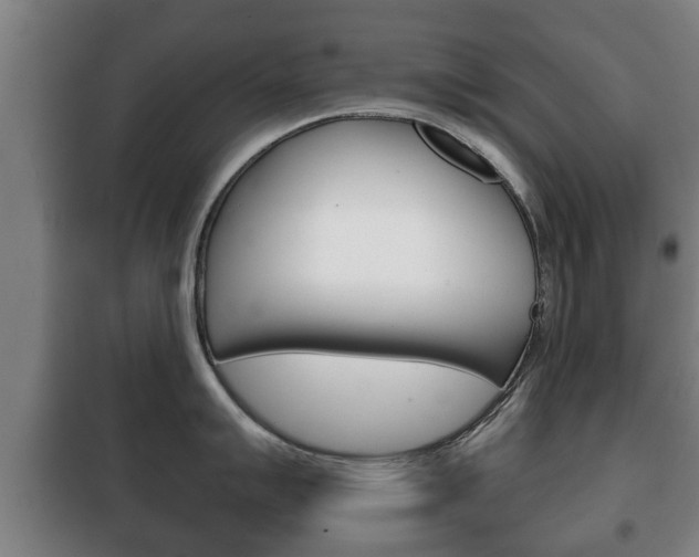 X0000100411007200806060921