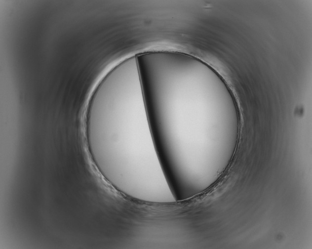 X0000100411008200806060921