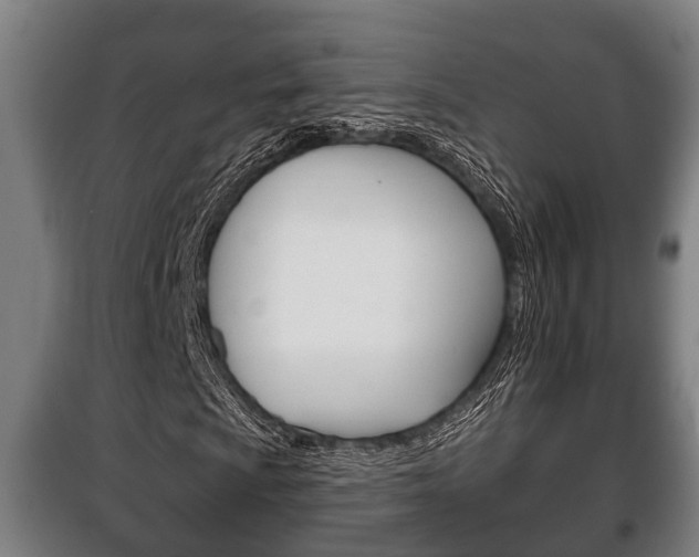 X0000100411009200806060920