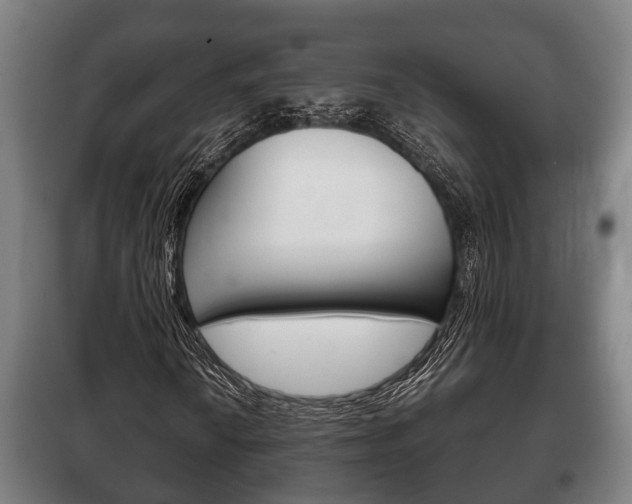 X0000100411010200806060920