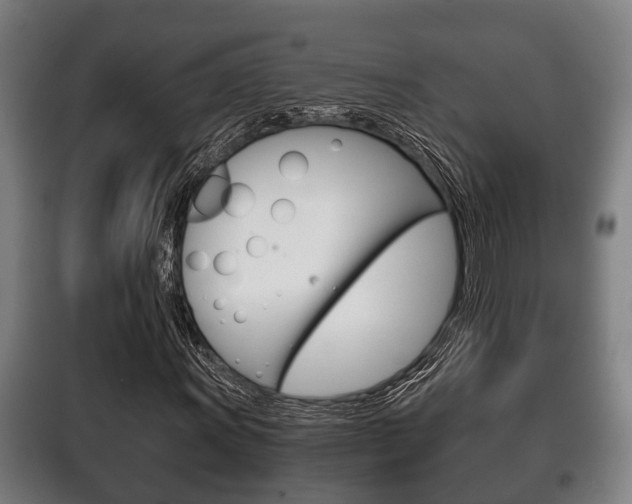 X0000100411011200806060920