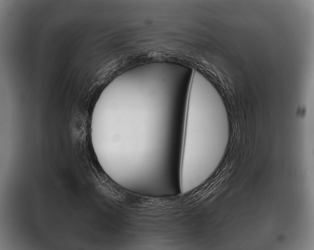 X0000100411012200806060920