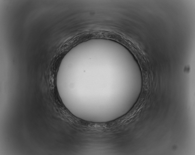 X0000100411013200806060920