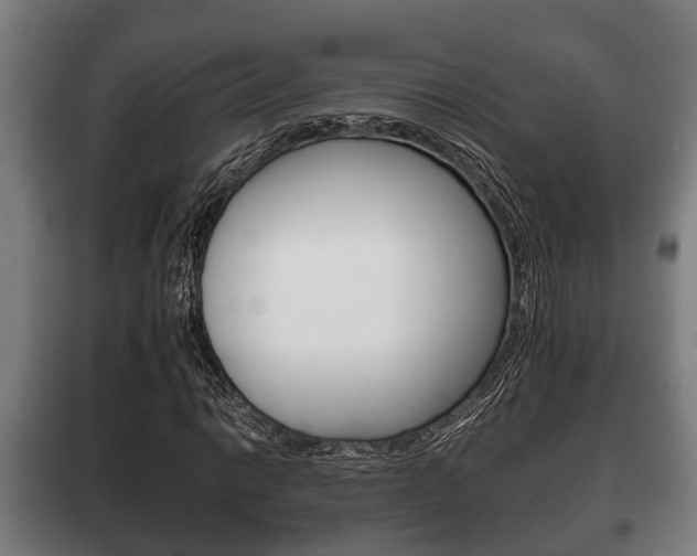 X0000100411014200806060920