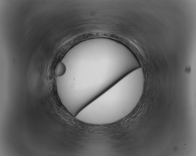 X0000100411015200806060920