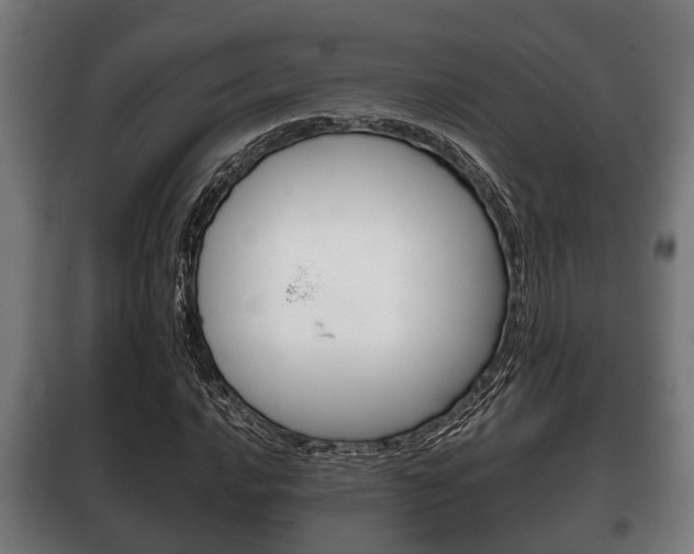 X0000100411016200806060920