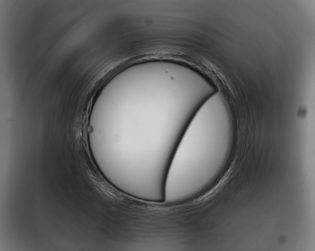 X0000100411017200806060920