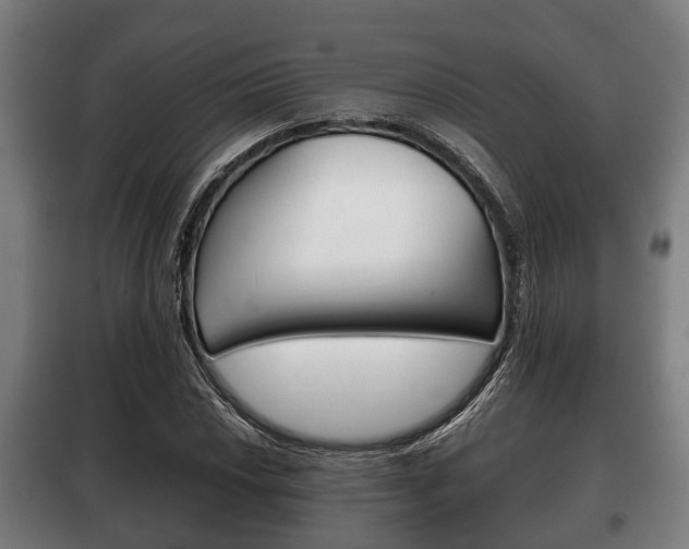 X0000100411018200806060920