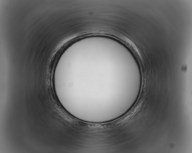 X0000100411019200806060920
