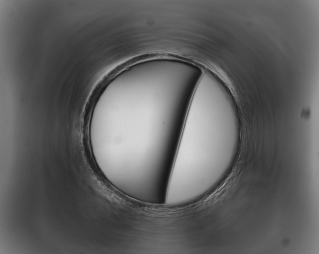 X0000100411020200806060920