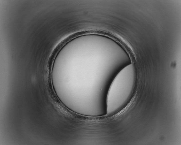 X0000100411021200806060920