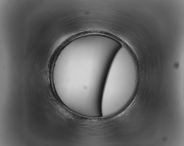 X0000100411022200806060920