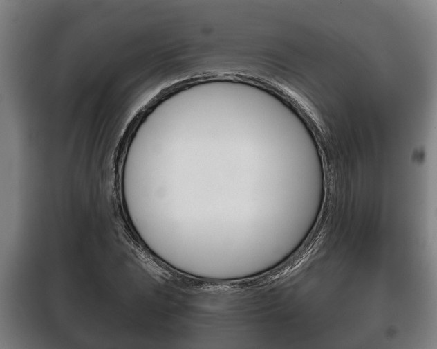 X0000100411023200806060920