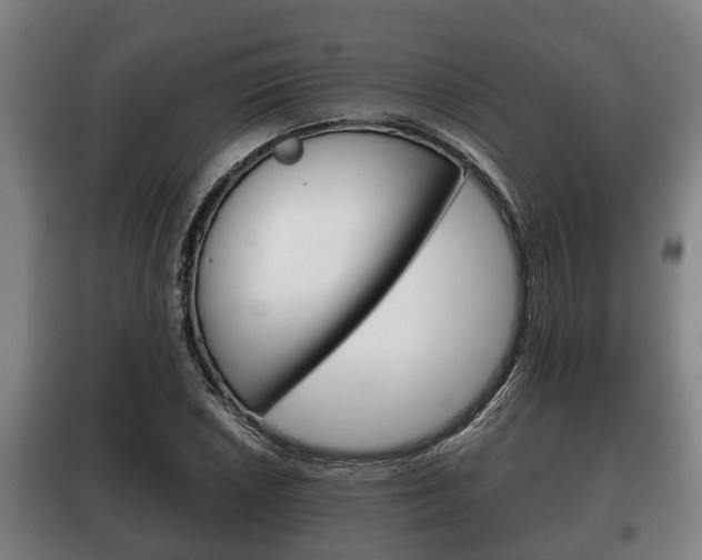 X0000100411026200806060920