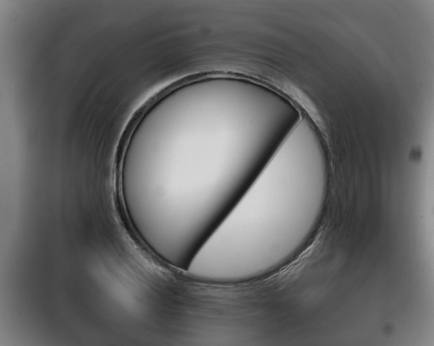 X0000100411028200806060920