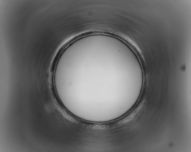 X0000100411029200806060920
