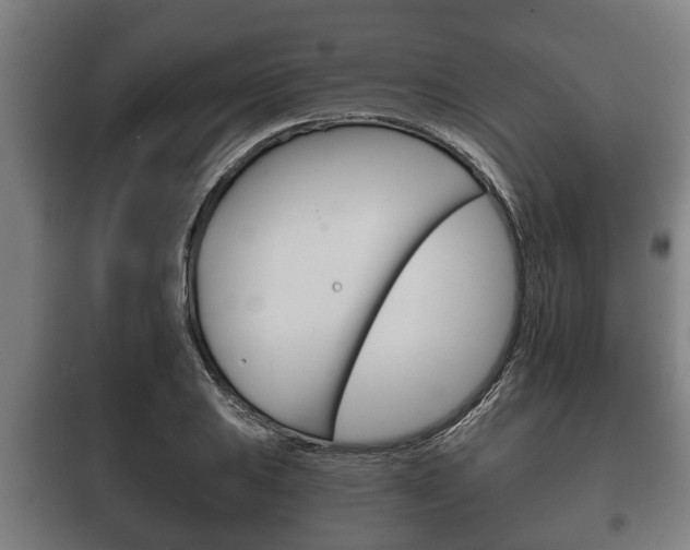 X0000100411031200806060920