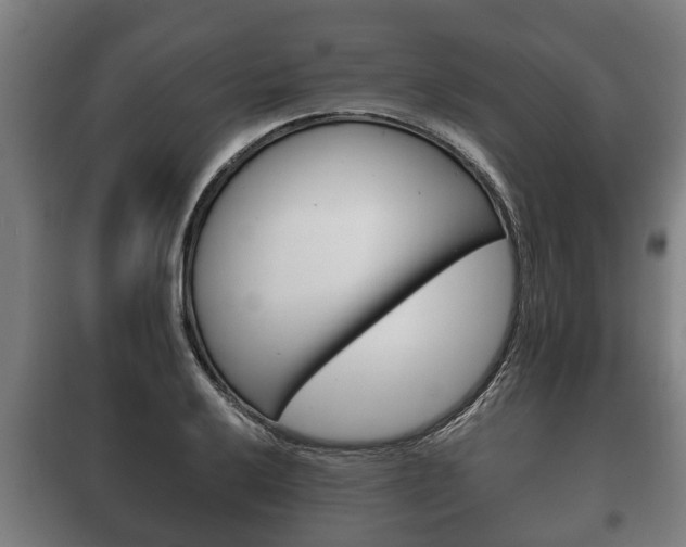 X0000100411032200806060920