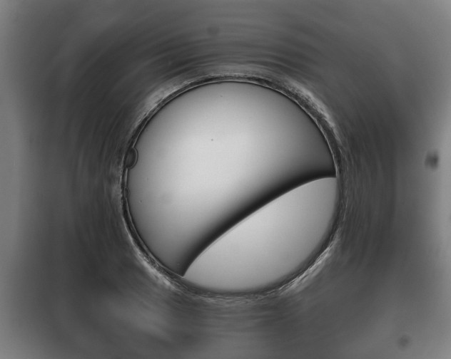 X0000100411033200806060920