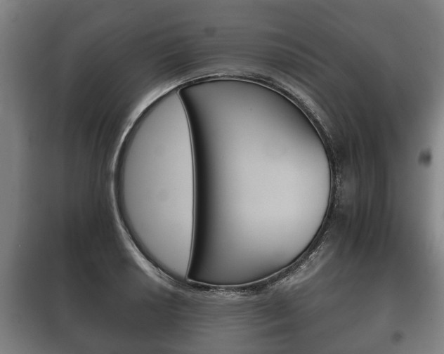 X0000100411034200806060920