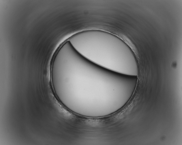 X0000100411036200806060920