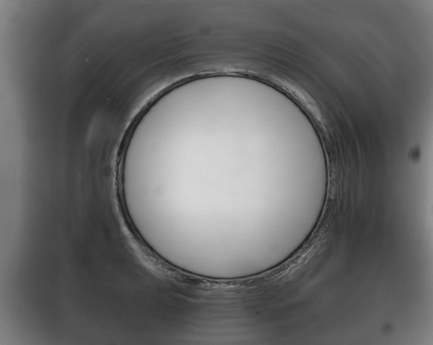 X0000100411039200806060920
