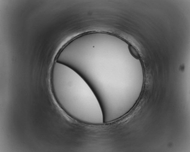X0000100411040200806060921