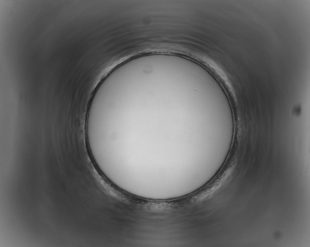 X0000100411041200806060921