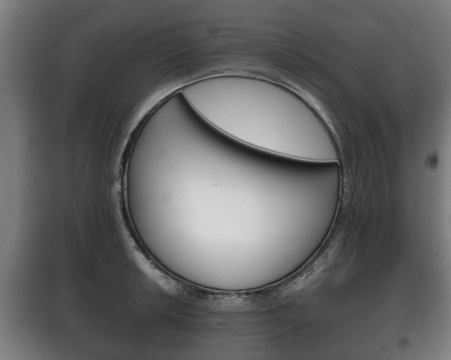 X0000100411042200806060921