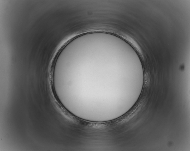 X0000100411043200806060921